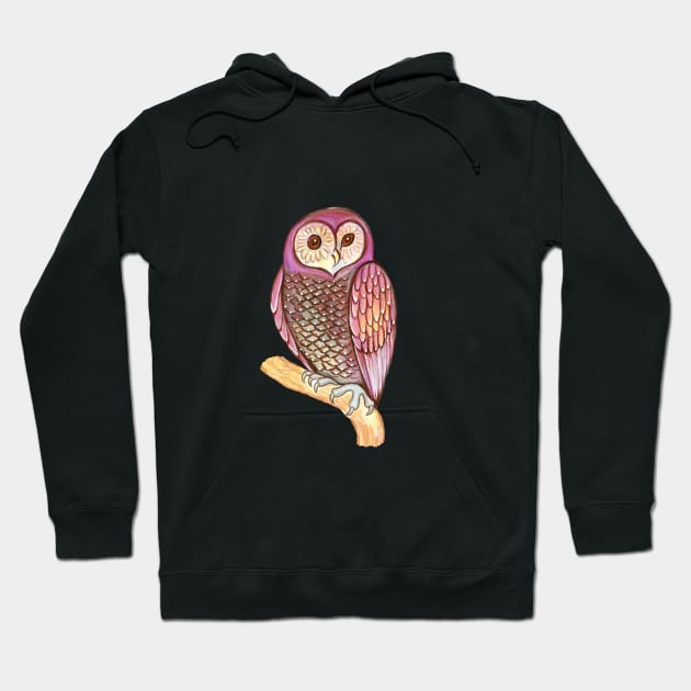 Magical wise owl Hoodie by annalloyd